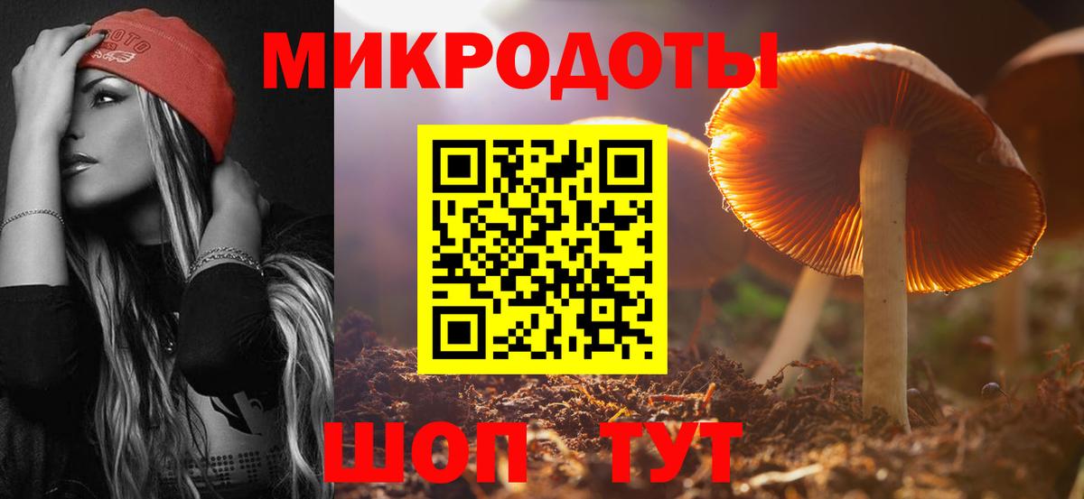 Псилоцибиновые грибы Psilocybine cubensis Бугуруслан